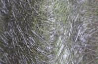 Fenns Bank fibreglass roof work